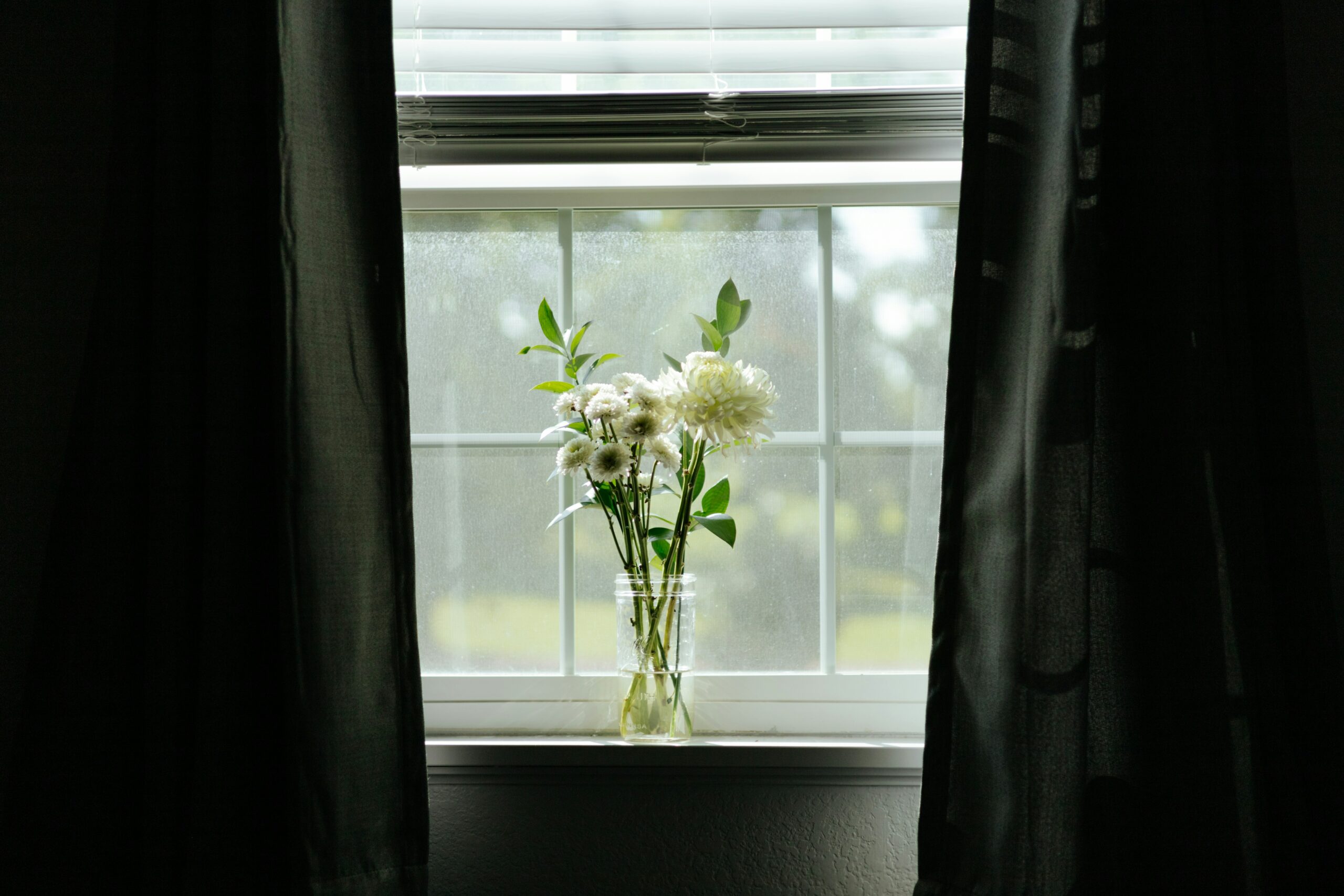 花の写真